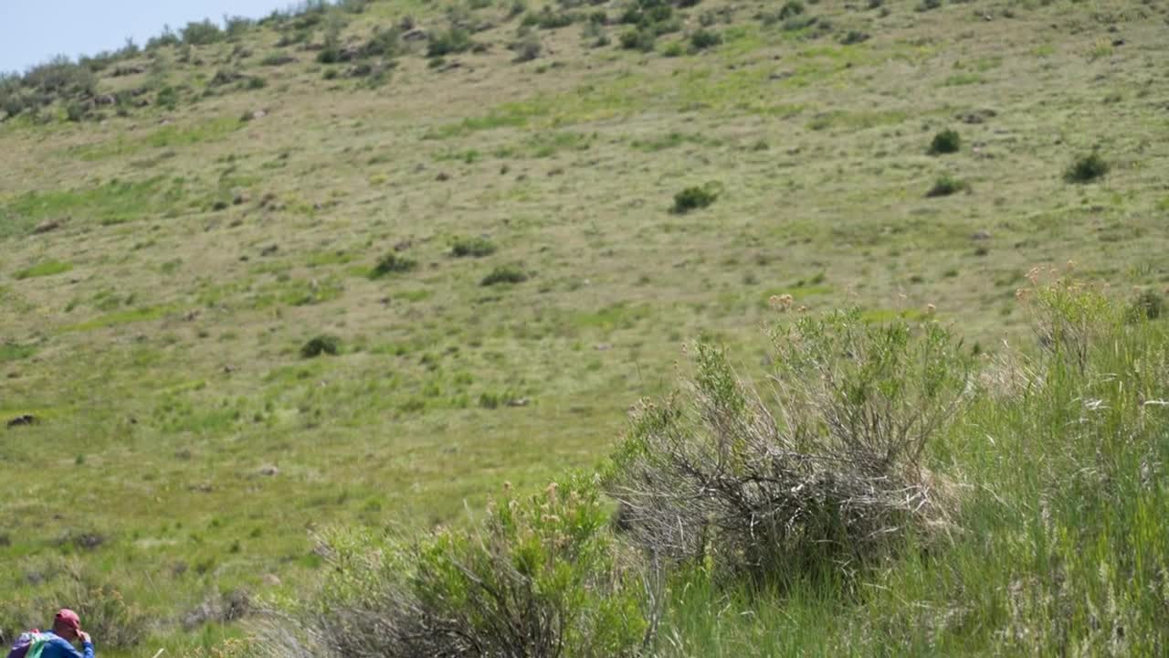 Chris Rizzo Denver 7 Interview